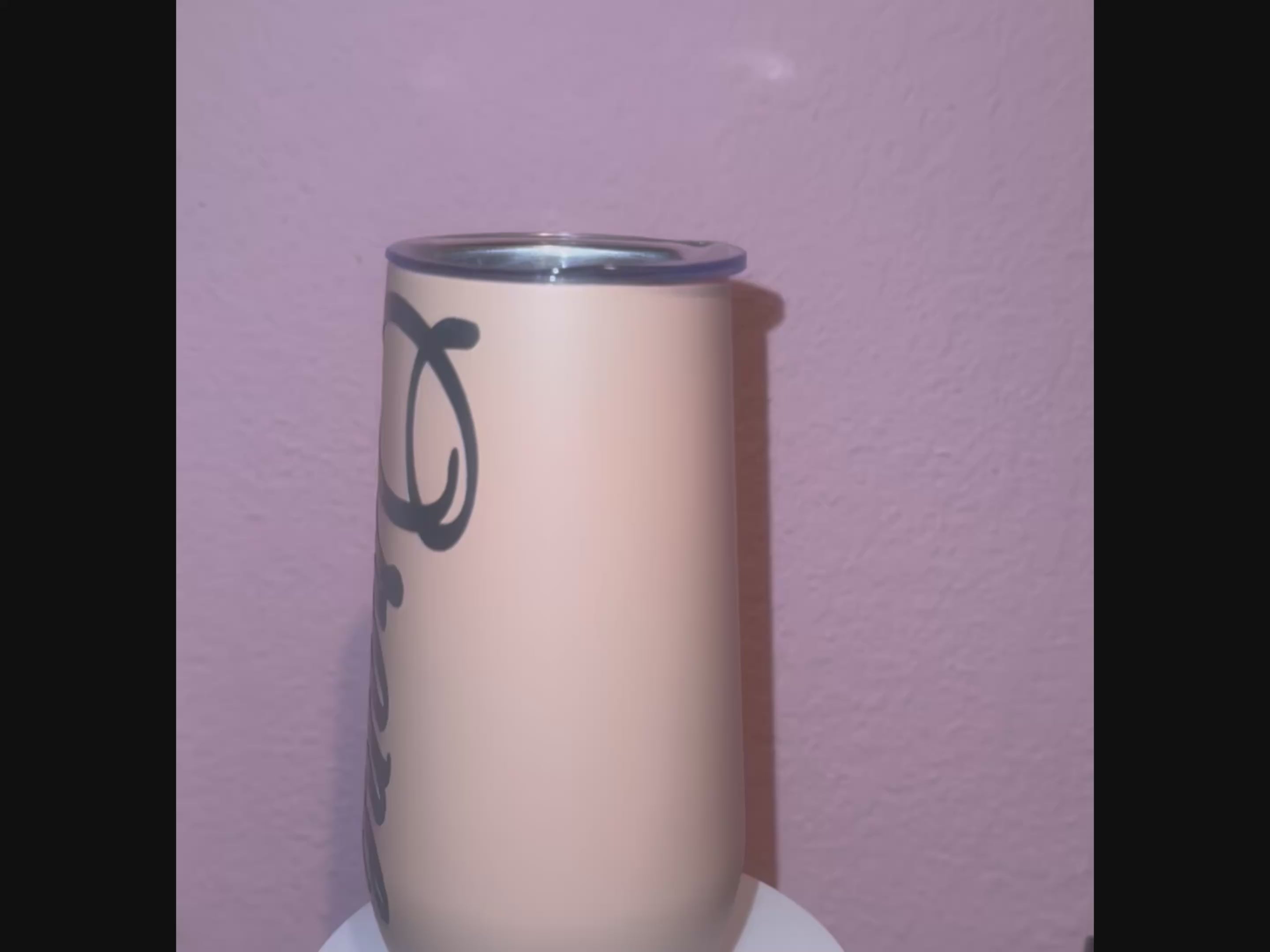Double Wall Steel Stemless Stainless Champagne Flutes 10oz